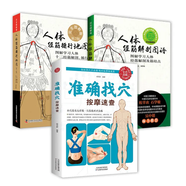 人体经筋巡行地图+人体经筋解剖图谱+准确找穴按摩速查