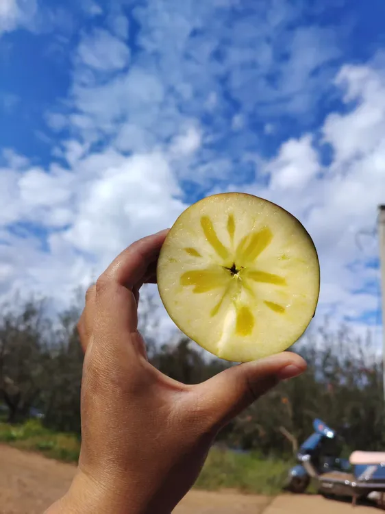 大凉山冰糖心丑苹果新鲜现摘当季脆甜水果