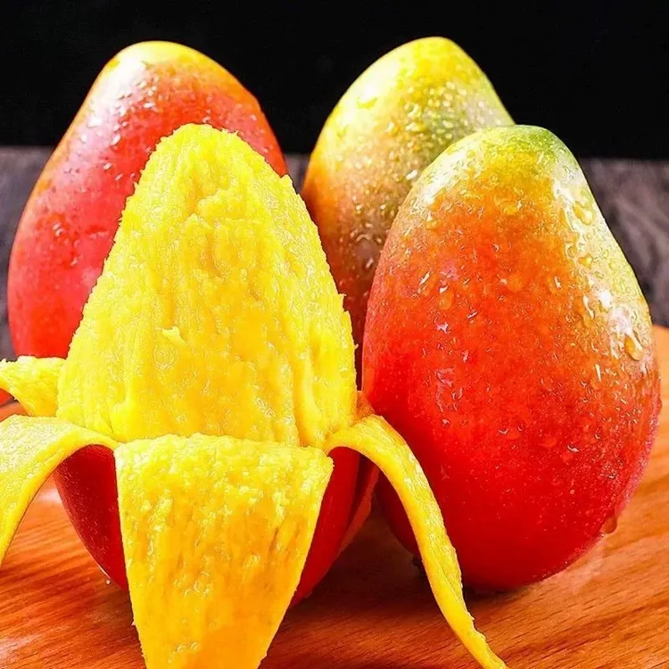 海南应季新鲜贵妃芒果3斤/4.5斤水果装