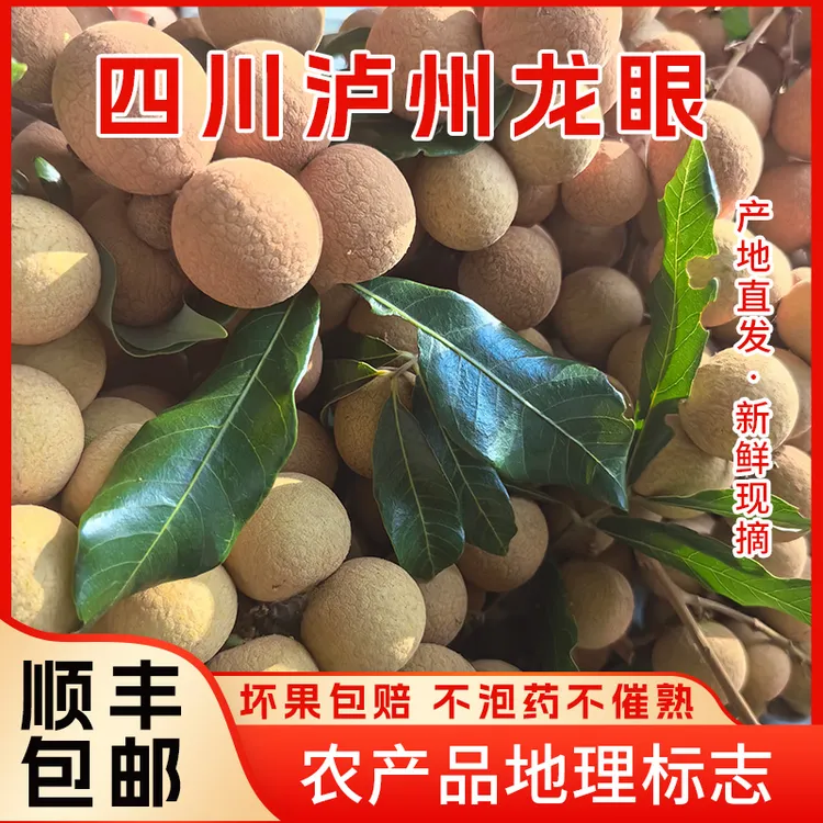 四川泸州桂圆/龙眼