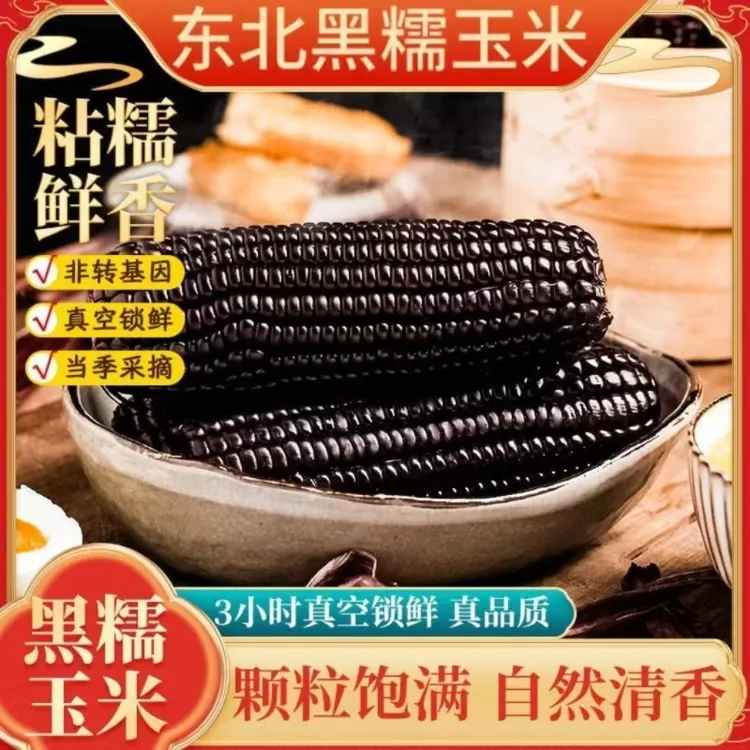 【 整箱 10支】2025年头茬正宗东北黑糯玉米单根180-230g真空包装