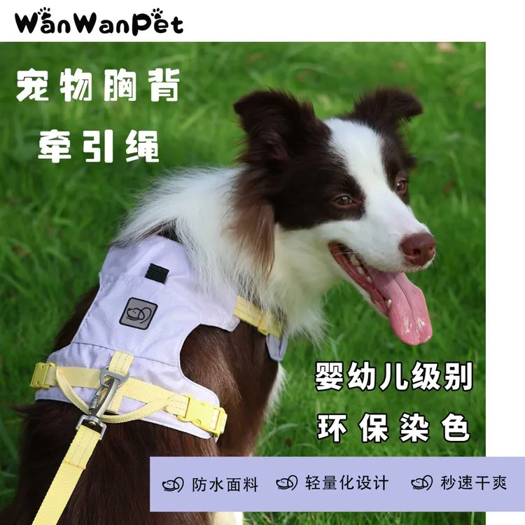 WanWan Pet轻“丸”溪雾 狗牵引绳遛狗绳中小型犬背心式透轻量化