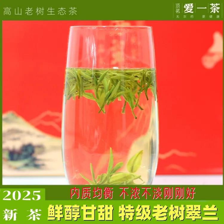 顶茗爱一茶 2025新茶明后雨前高山老树岳西翠兰茶叶绿茶250克罐装