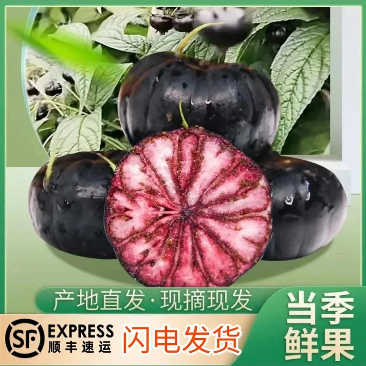 正宗云南高山红果参新鲜现摘当季稀有水果蜘蛛果算盘果顺丰速发