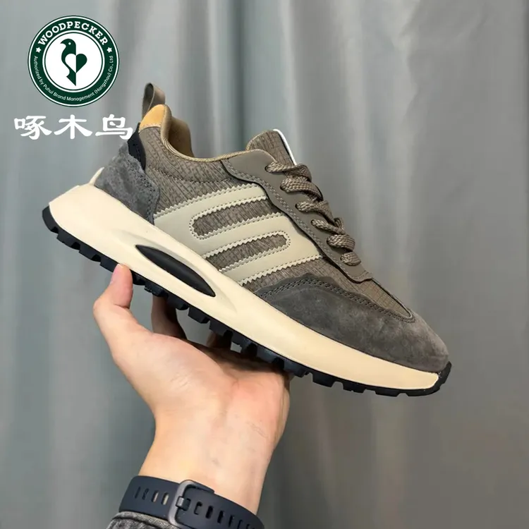 啄木鸟秋季男鞋新款休闲板鞋透气潮流鞋子男生潮鞋低帮运动阿甘鞋