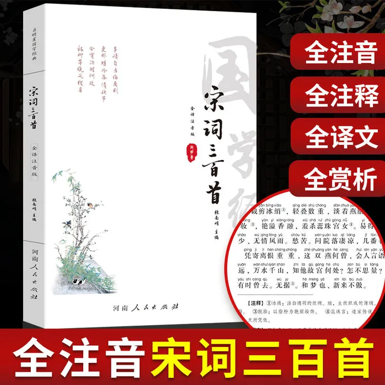 全注音大字版全本 宋词三百首全256首注释译文赏析古诗词国学经典