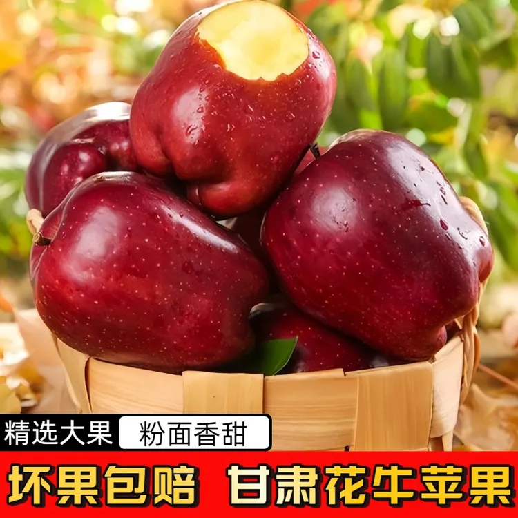【脆甜多汁】甘肃天水花牛苹果现摘特产酥脆蛇果当季水果产地直发