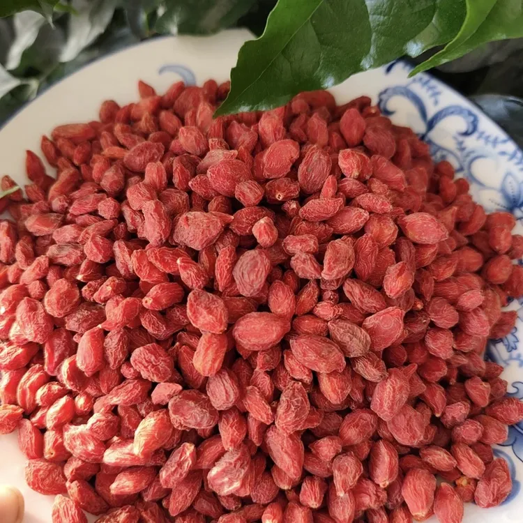 宁夏大颗粒红枸杞250-500克