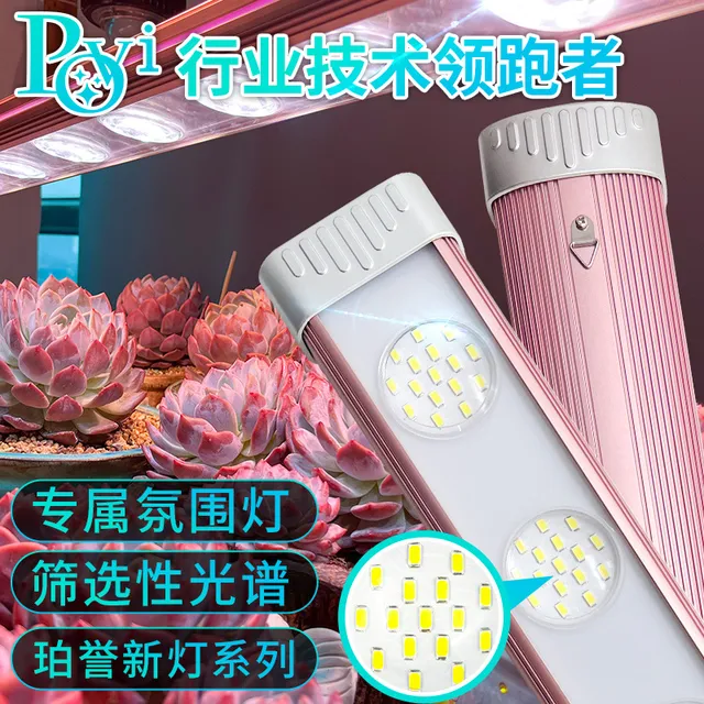 珀誉新款多肉补光灯 上色防徒家用光谱带氛围灯led植物生长灯新品