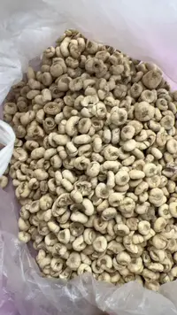 【小潘专属】长白山林下贝母