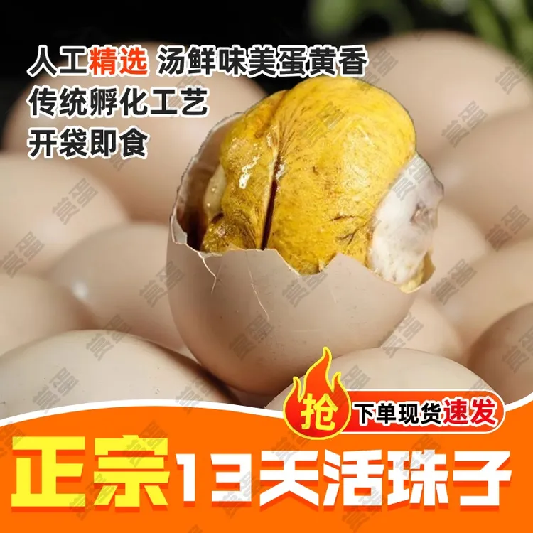 正宗新鲜13天活珠子五香开袋即食香辣味钢化蛋真空营养鸡胚蛋