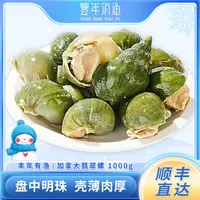 【丰年有渔】海捕翡翠螺1kg*1箱