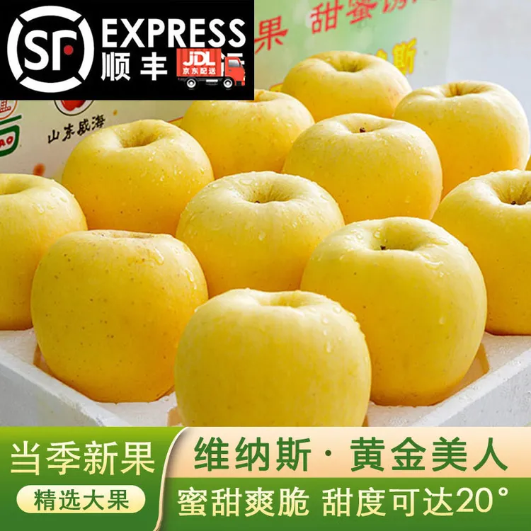 正宗维纳斯黄金苹果新鲜水果当季整箱脆甜多汁山东烟台维纳斯苹果