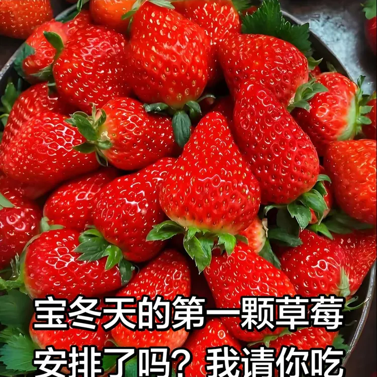 （买两斤送一斤京东空运头茬草莓）山东香野奶莓果香浓郁清甜可口