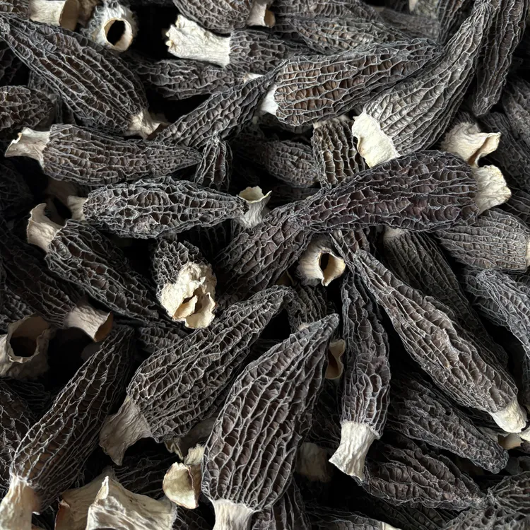 云南羊肚菌羊肚干菌干货羊肚蘑菇菌剪柄菇儿童老人煲汤炒菜食材