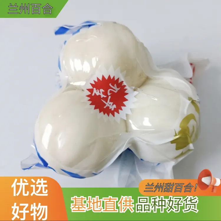 兰州新鲜甜百合当季新挖食用特产原产地直发