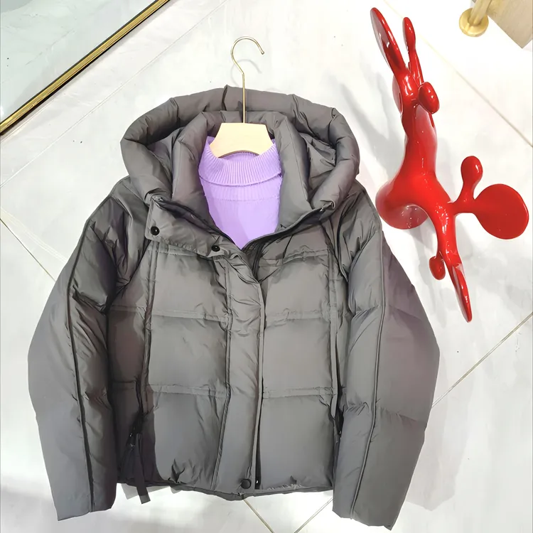 冬季新款百搭短款连帽白鸭绒羽绒服女款