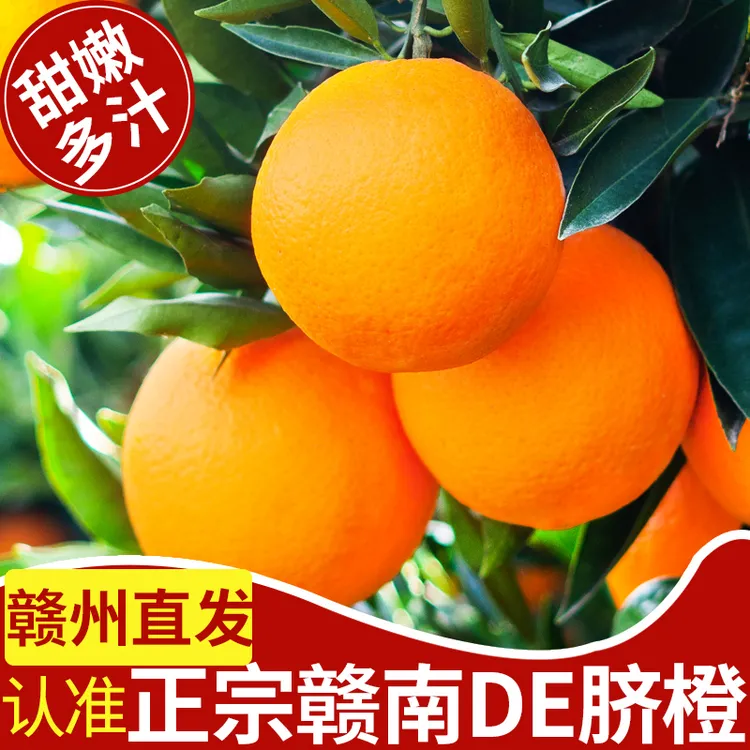 【地标授权】正宗赣南直发脐橙江西甜手剥赣州橙子9斤当季新鲜水果