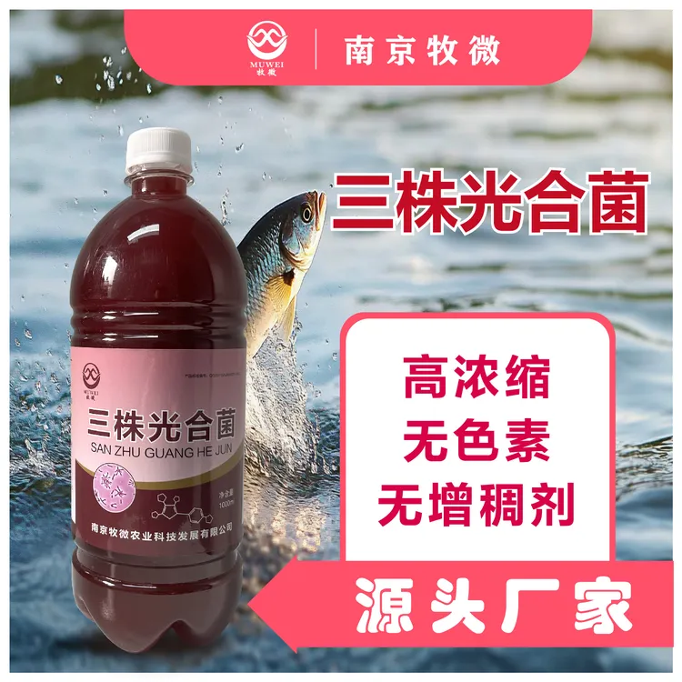  高浓光合菌1瓶 改善浓绿水 降解硫化氢 工厂直发包邮 水产养殖