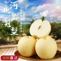 【现摘现发】河北皇冠梨脆甜多汁新鲜水果现摘当季水果带箱5斤包邮