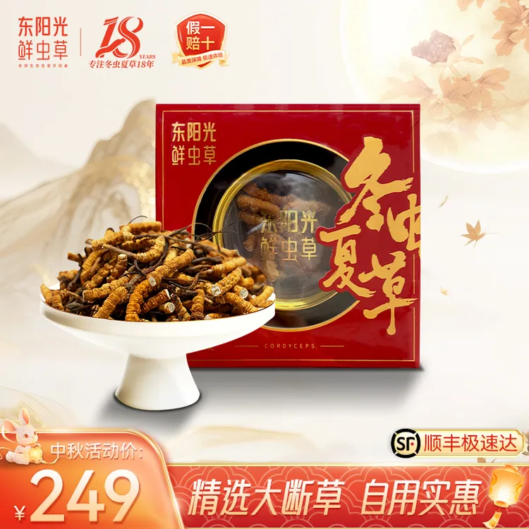 东阳光冬虫夏草断草礼盒装中秋送礼自用性价比正宗虫草滋补精选