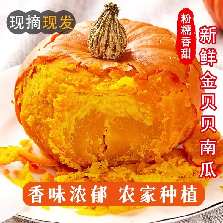 贝贝南瓜 正宗金贝贝红贝贝南瓜小金瓜板栗红皮南瓜