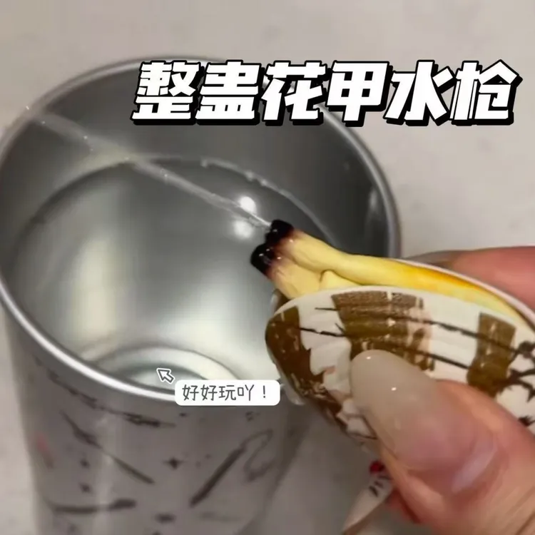 小红书同款蛤蜊水枪整蛊玩具喷水枪儿童花甲呲水枪夏季戏水玩具