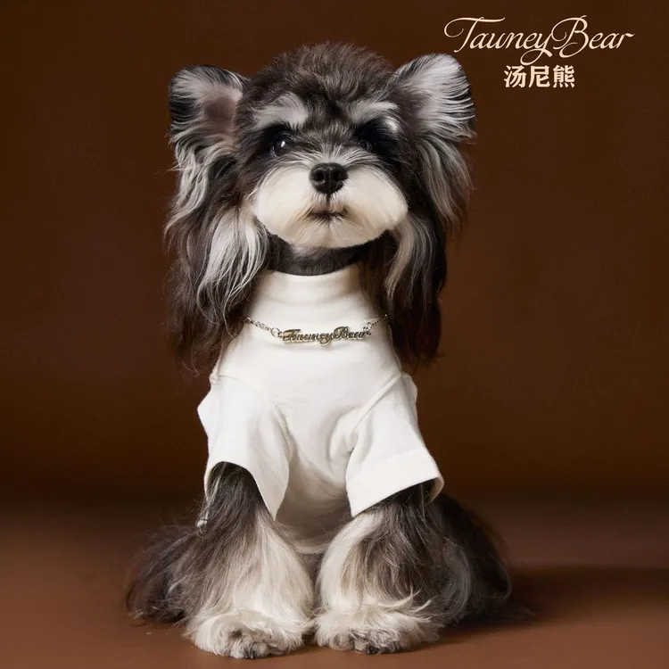 汤尼熊宠物狗狗衣服泰迪雪纳瑞比熊帅气纯色打底衫两脚项链内搭衣