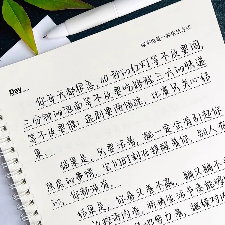 「静心」挽鸢体字帖练字成人女子练字基本功成年人练习硬笔书法练字