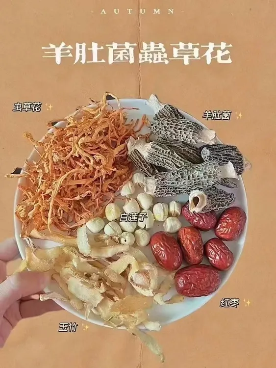 广东汤料包菌汤包家用商用煲汤火锅提鲜滋补菌菇汤料包羊肚菌玉竹