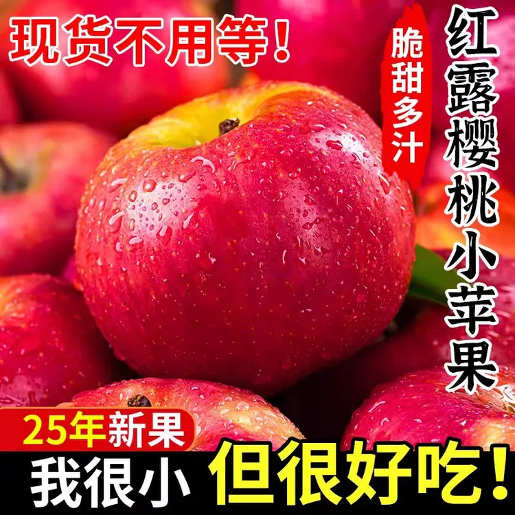【深漂阿树】云南红露樱桃小苹果脆甜爽口新鲜水果苹果
