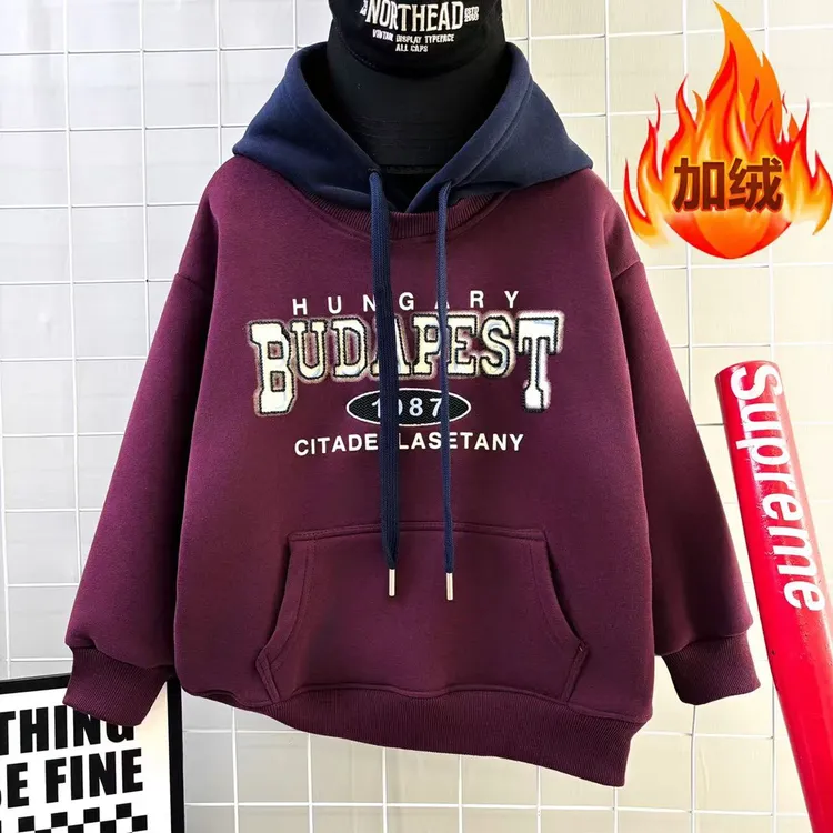 男童卫衣秋冬新款2025男孩上衣中大童学生儿童连帽