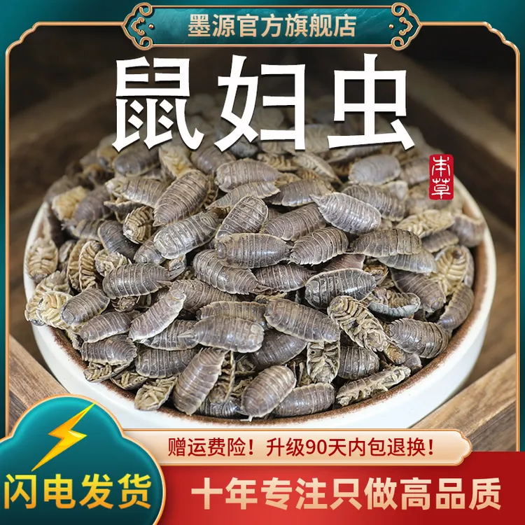 鼠妇中药材鼠妇虫潮虫西瓜虫潮湿虫潮虫子地虱婆非活虫体晒干新货