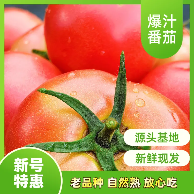 【热销回归】内蒙古硬粉番茄，皮薄清甜，赤峰特色！