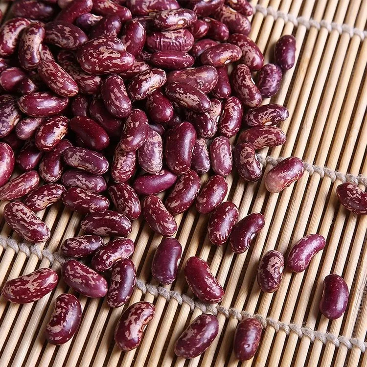 东北红花芸豆紫花芸豆大饭豆农家自产四季豆五谷杂粮