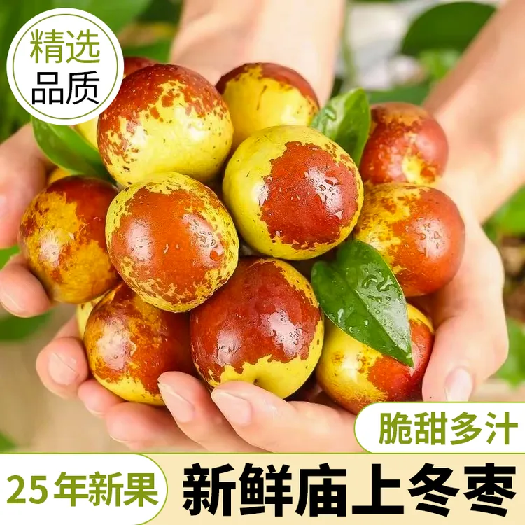 【高品质顺丰/JD】冰糖冬枣脆甜特大当季新鲜水果批发产地直发3/5斤