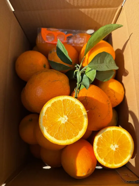 江西橙子赣南脐橙新鲜纽荷尔脐橙农家甜橙子果园现摘现发产地包邮