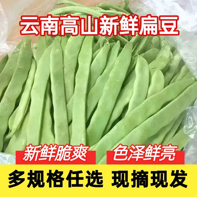 高山露天现摘新鲜扁豆豆角美味时令蔬菜新鲜采摘豆角5斤装新鲜