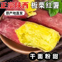 陕西沙地板栗红薯软糯香甜现摘现发