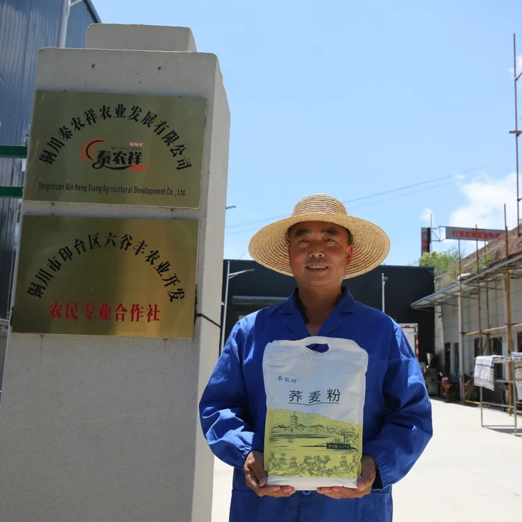 秦农祥正宗纯荞麦面粉家用面条包子家用粗粮粉食品