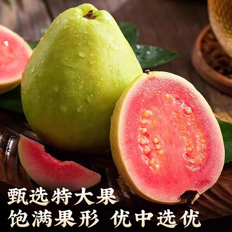 漳州奶油红心芭乐西瓜芭乐白心芭乐现摘当季白心番石榴新鲜果清甜