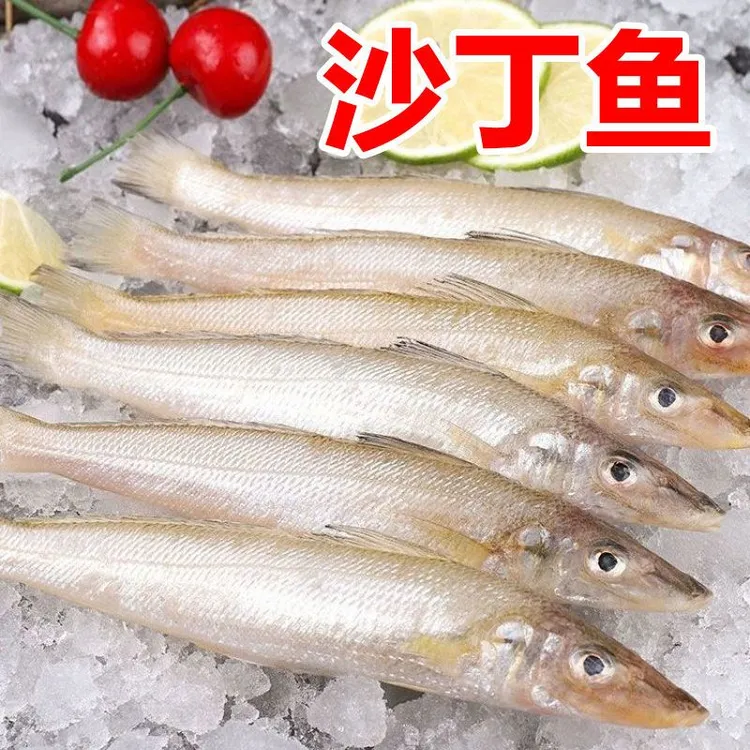 沙丁鱼新鲜海捕深海鱼黄花鱼冷冻速冻冰鲜海鲜水产烧烤食材野生