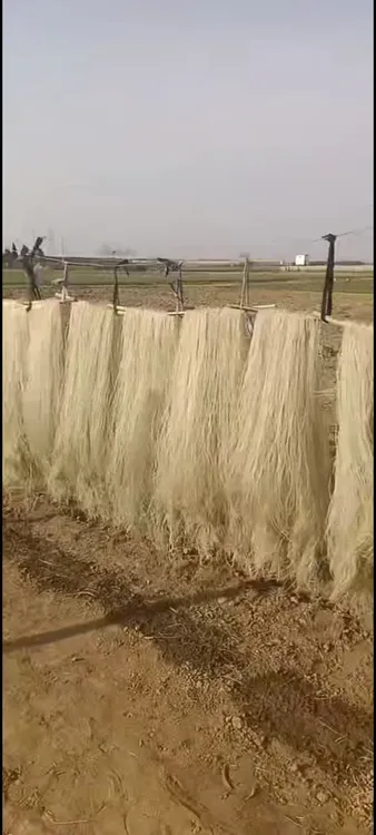 自己家种的红薯  河南禹县特产 正宗手工素琴粉条    保真店 5斤