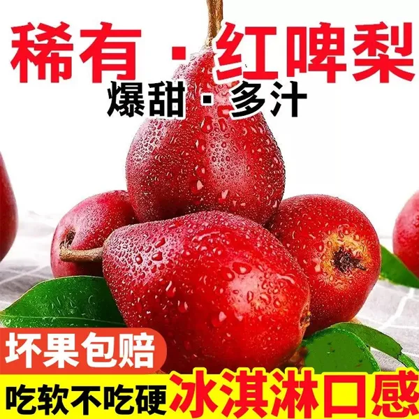 【冰淇淋】正宗红啤梨新鲜采摘冰淇淋梨子太婆梨2-4.5斤红皮梨水果