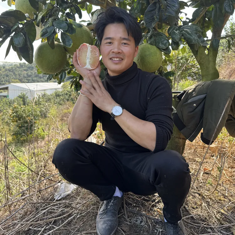 【涛涛专属】泰国翡翠青柚，3个装，韵达包邮