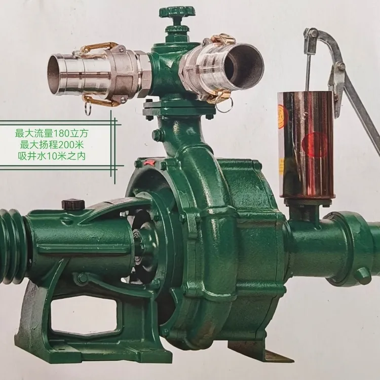 丰燕300双叶轮3寸或者4寸的加长轴高压喷灌泵（偏远地方不包邮）