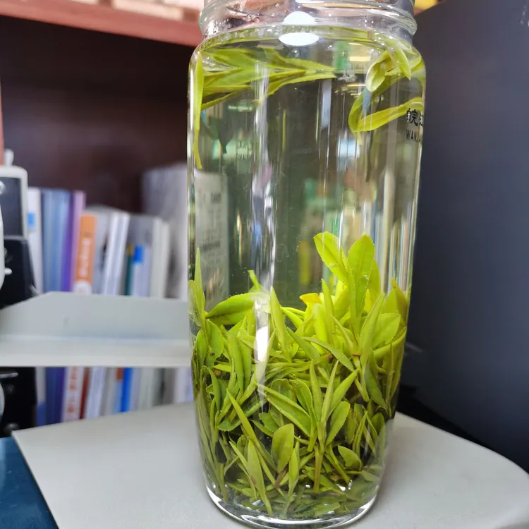 2025新茶岳西翠兰高山口粮茶兰花香T5