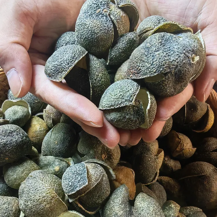 【广西浦北 2025年三花青】鲜采新制 青韵十足 地道陈皮