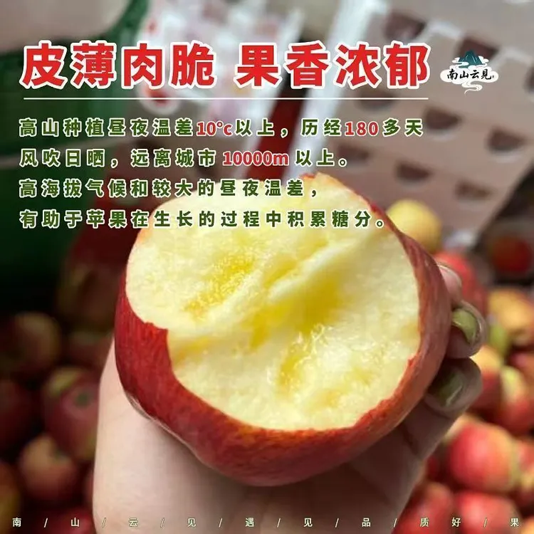 云南昭通201丑苹果新鲜现摘脆甜多汁高原水果