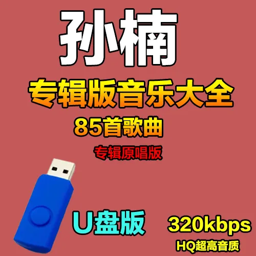 孙楠u盘专辑歌曲经典老歌国语天王高音质车载usb优盘全集音乐MP3